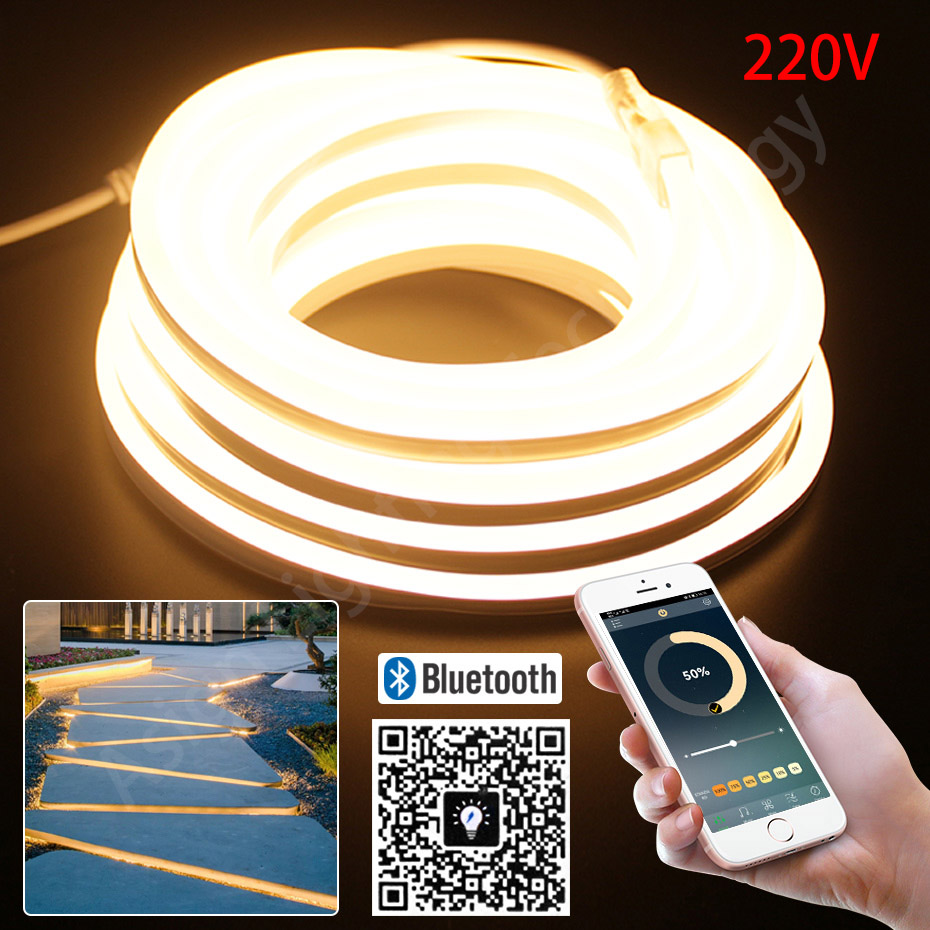 Outdoor Lighting Timer Switch - ไฟนีออน LED แบบเส้น 220V 2835 120