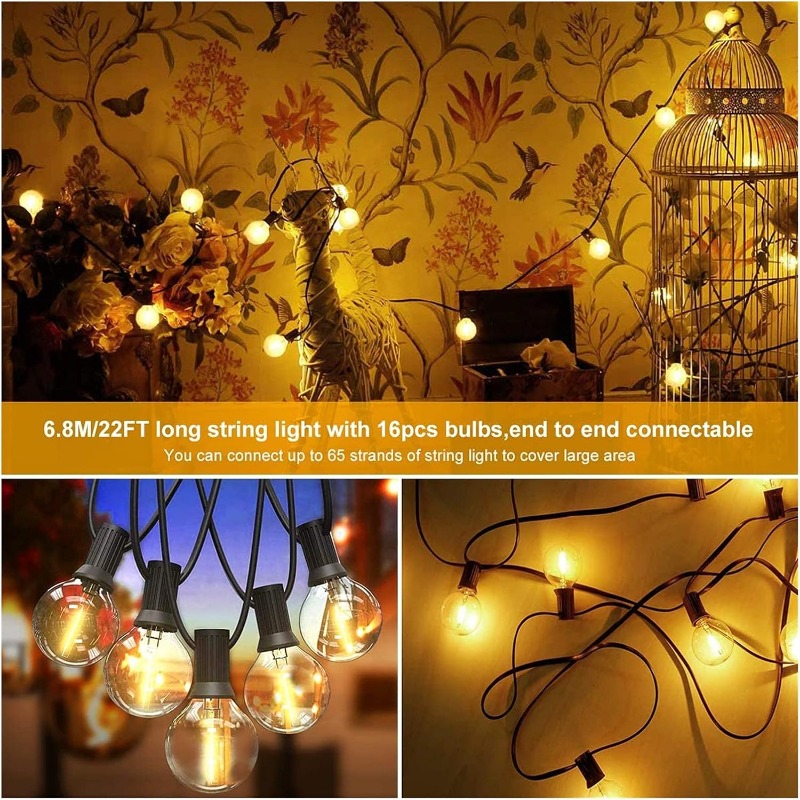 สายไฟ LED สำหรับตกแต่งภายนอก 6 - Lighting Wedding Outdoor บทวิจารณ์และราคา